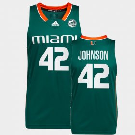#42 Reggie Johnson College Basketball University of Miami Alumni Men Green Jersey 113947-657